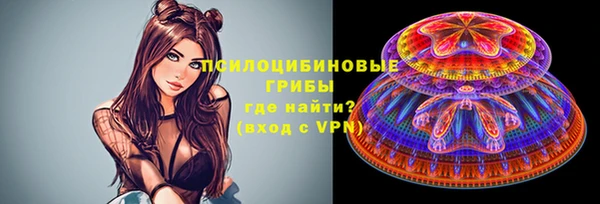 мяу мяу мука Пересвет